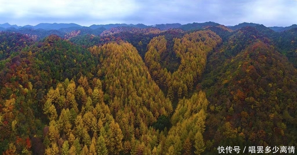 四川旅行，川北广元寻找李家秋色，美爆了！