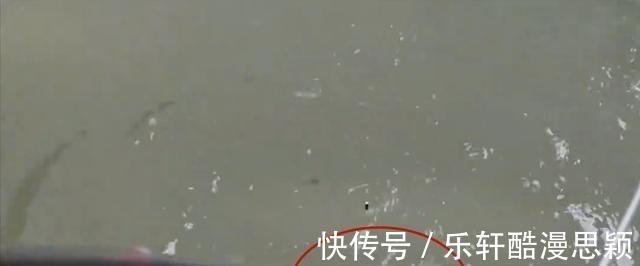 浙江一男子野钓频繁“双咬”，两小时钓获20多斤，网友神级钓手