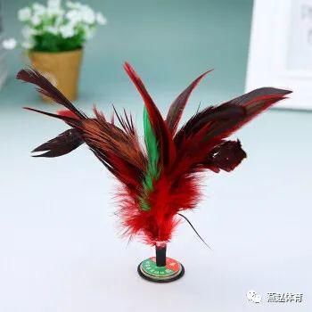 花毽|老少皆宜 花样繁多 毽球运动好处多