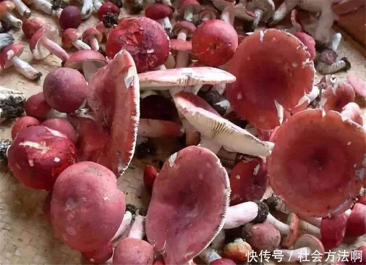 冬天女性爱美多吃3种食物,祛皱养颜,延缓衰老,淡化色斑