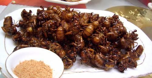 榴莲|孩子被“催熟”! 让孩子常吃这些食物,可能是害他,家长要反思