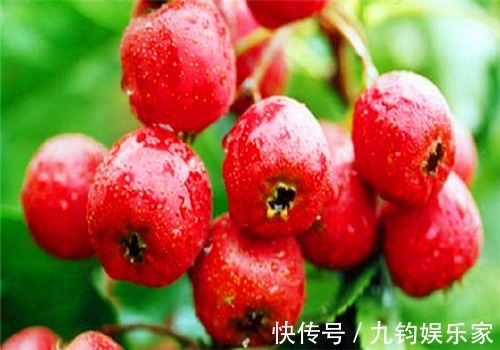 排毒養顏|女性不想顯老，常吃4種食物，營養豐富，健腦益智，好處多多