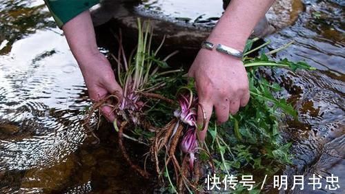 父母|宝宝到底该跟谁?跟老人和跟父母,性格差别其实并不大