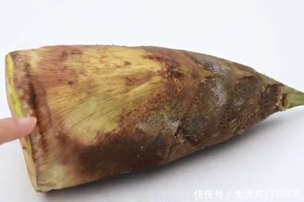 买春笋时,为什么要挑长得丑的,我也是今天才知道,学会受用一生