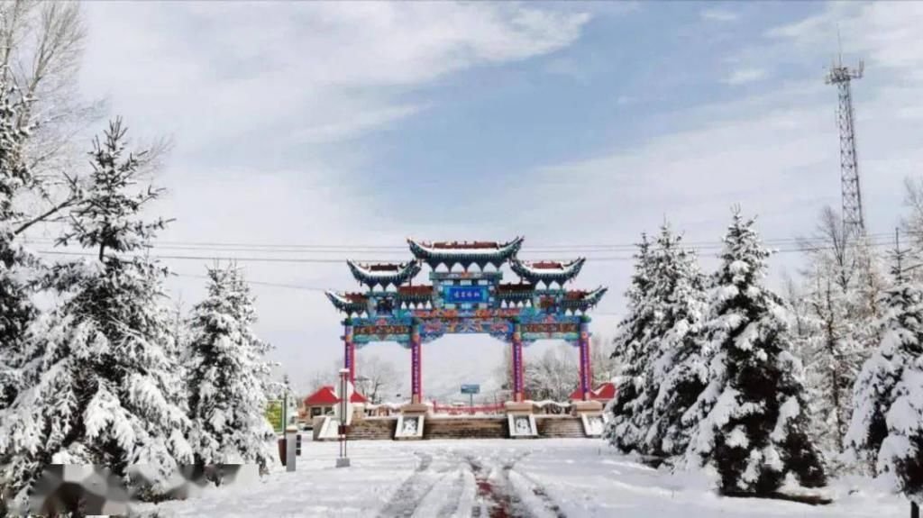 酣畅|鸣岩松雪，静赏傲雪枝头之美，动享冰雪酣畅之旅