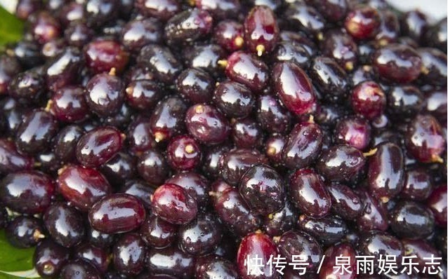 乌梅|肝病别担心，常吃以下4种碱性食物，能有效的排除肝毒