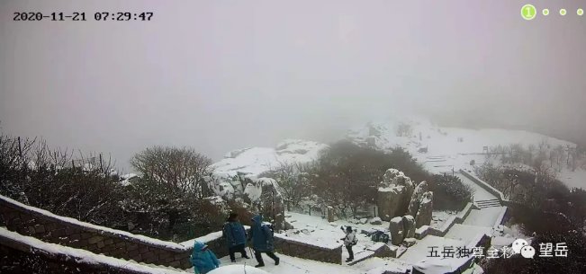  最低温|下雪了！下雪了！山东多地喜提今冬第一场雪！明天最低温降至-4℃！