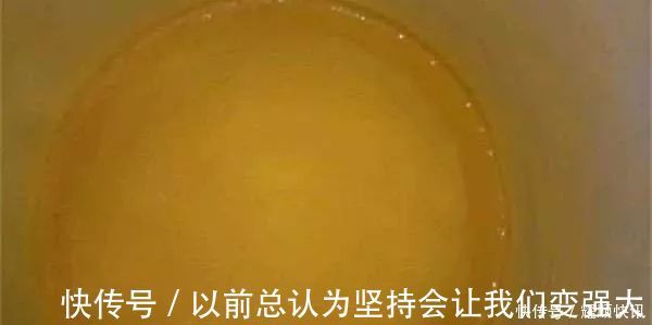 青草鲤|野钓必杀饵料,通杀青草鲤,大鱼一条接一条,拉杆到手臂疼