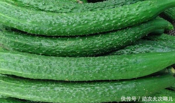  黄瓜|黄瓜千万不要和这4种食物一起吃，后果很严重，赶紧告诉家里人