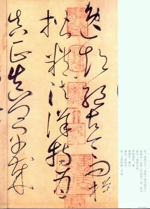 内府&怀素《自叙帖》奔蛇走虺势入座,骤雨旋风声满堂