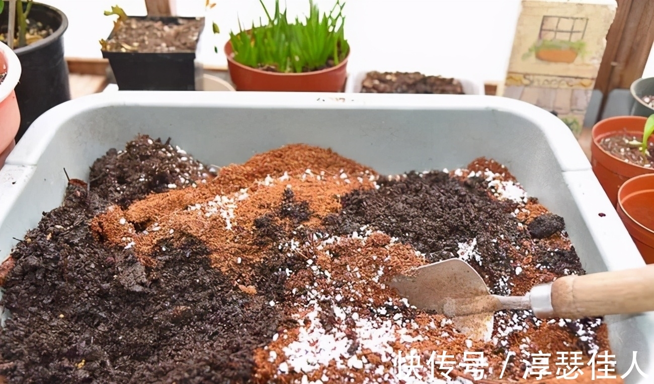 养花真不难,配土很关键,掌握3大“配土法”,养一盆旺一盆