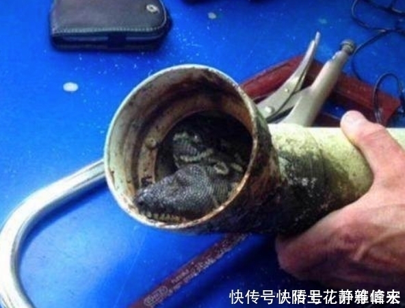 浴室|家中下水道堵塞怎么办？教你3种疏通下水道的方法，自己也能解决