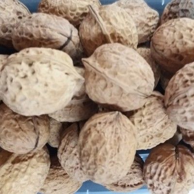 用它不离手，活到九十九！此零食每天吃3粒，养出好血管