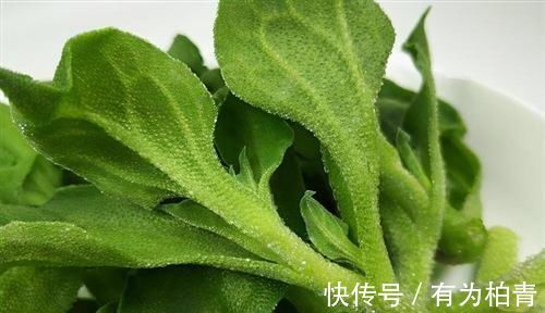 补血|人到中年想长寿,推荐常吃3种食物,补血养颜,好吃又不贵!