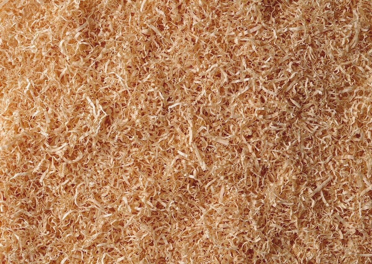  种土壤|居家养花必知常识：选好土壤才能养好花