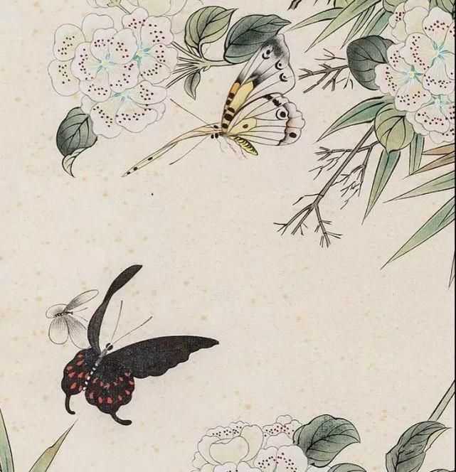 俞致贞|收藏!国画蝴蝶纸上来感觉蝴蝶在动,太逼真了!