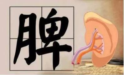 脾胃论|百病皆由脾衰而生!脾虚了,压压手穴,就能手到病除,把虚补回来