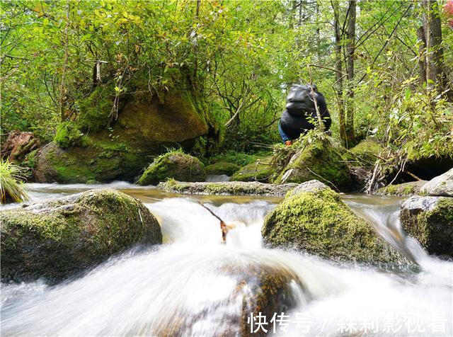 长白山|长白山深处被忽略的景区,鸳鸯池上没鸳鸯，但美的好像一幅画