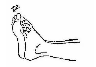 两臂|15分钟经络功:此功法简单易行,让不少人都活过了100岁!