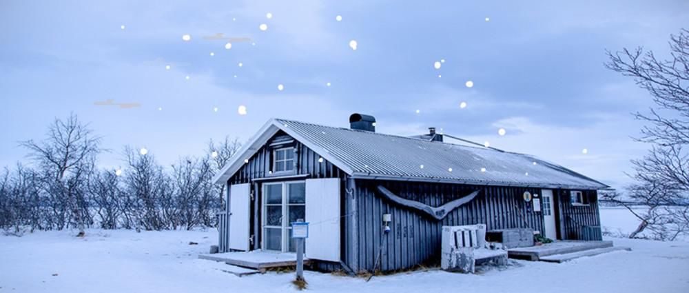  温暖|大雪纷纷，家的温暖，陪您拥抱整个世界