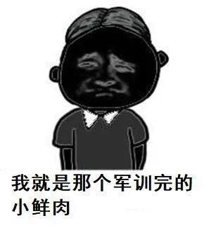 士兵突击|小20的青春迷彩