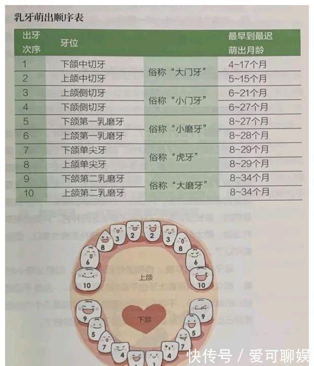 牙胶|宝宝有这8个“烦人小动作”,恭喜妈妈,这是要长牙啦