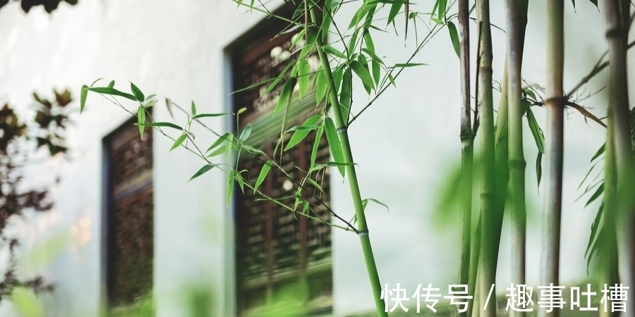 七律@初秋已至,步韵杜甫七律5首以自况。七律难写?唯有笔耕不辍