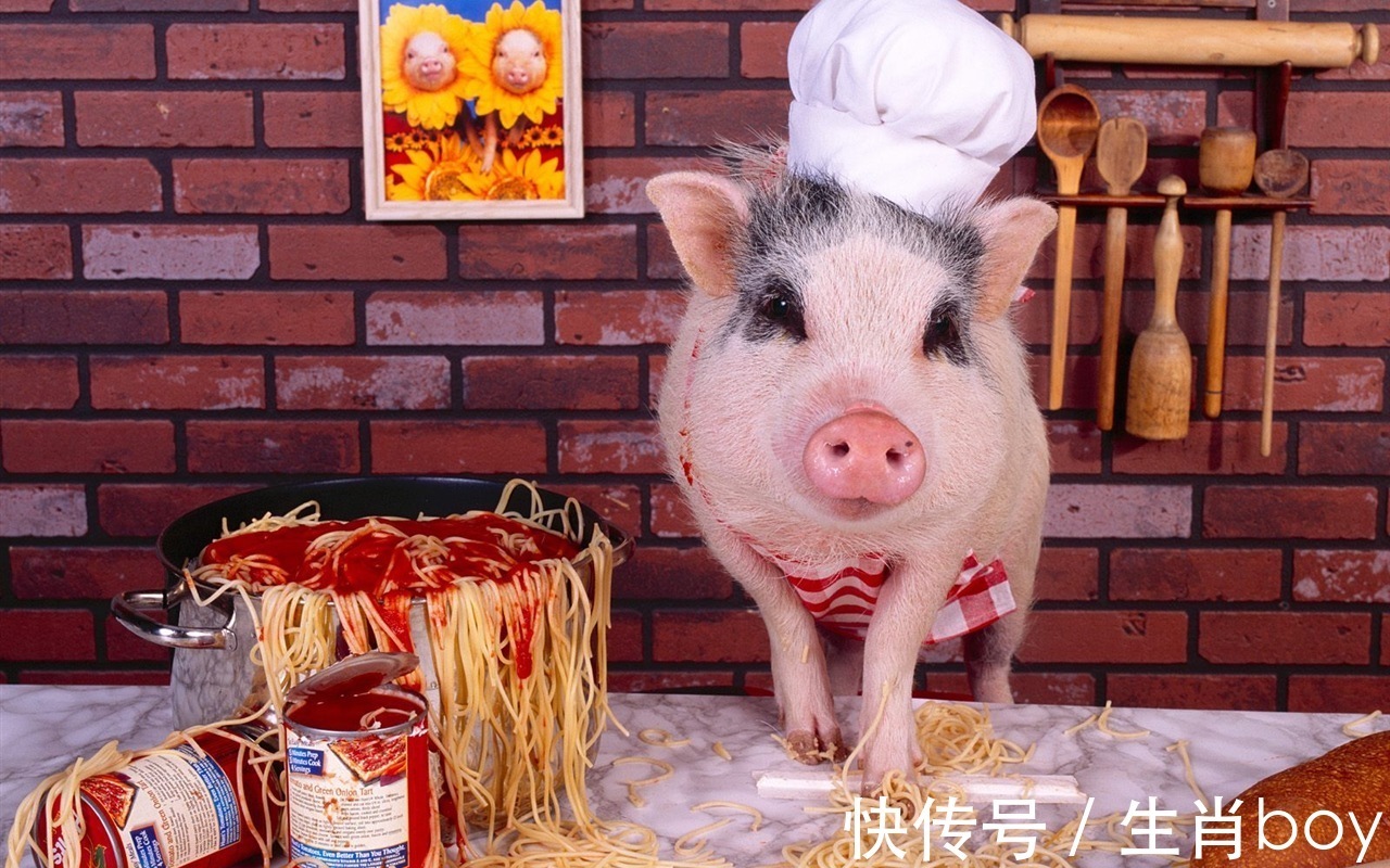 太岁|4生肖虎年第一天贵人伴身边,第二天事业迎春天,第三天财运到家