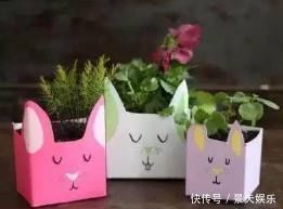 养花不用买花盆,这些生活中的废料用来养花,比花盆还好看