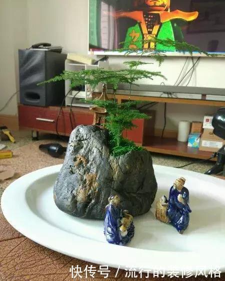 花盆还在买?一找一大堆,1毛钱不花,比买的花盆还要好