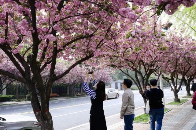 高新区的当家花旦，美出圈了~