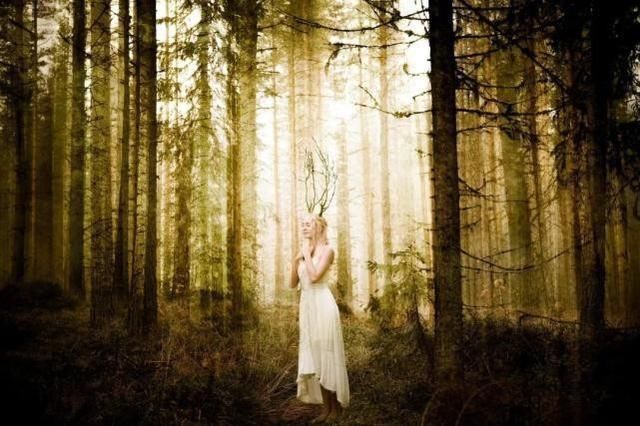 斯堪的纳维亚|拥有全新沃尔沃S90，体验北欧幸福的生活方式