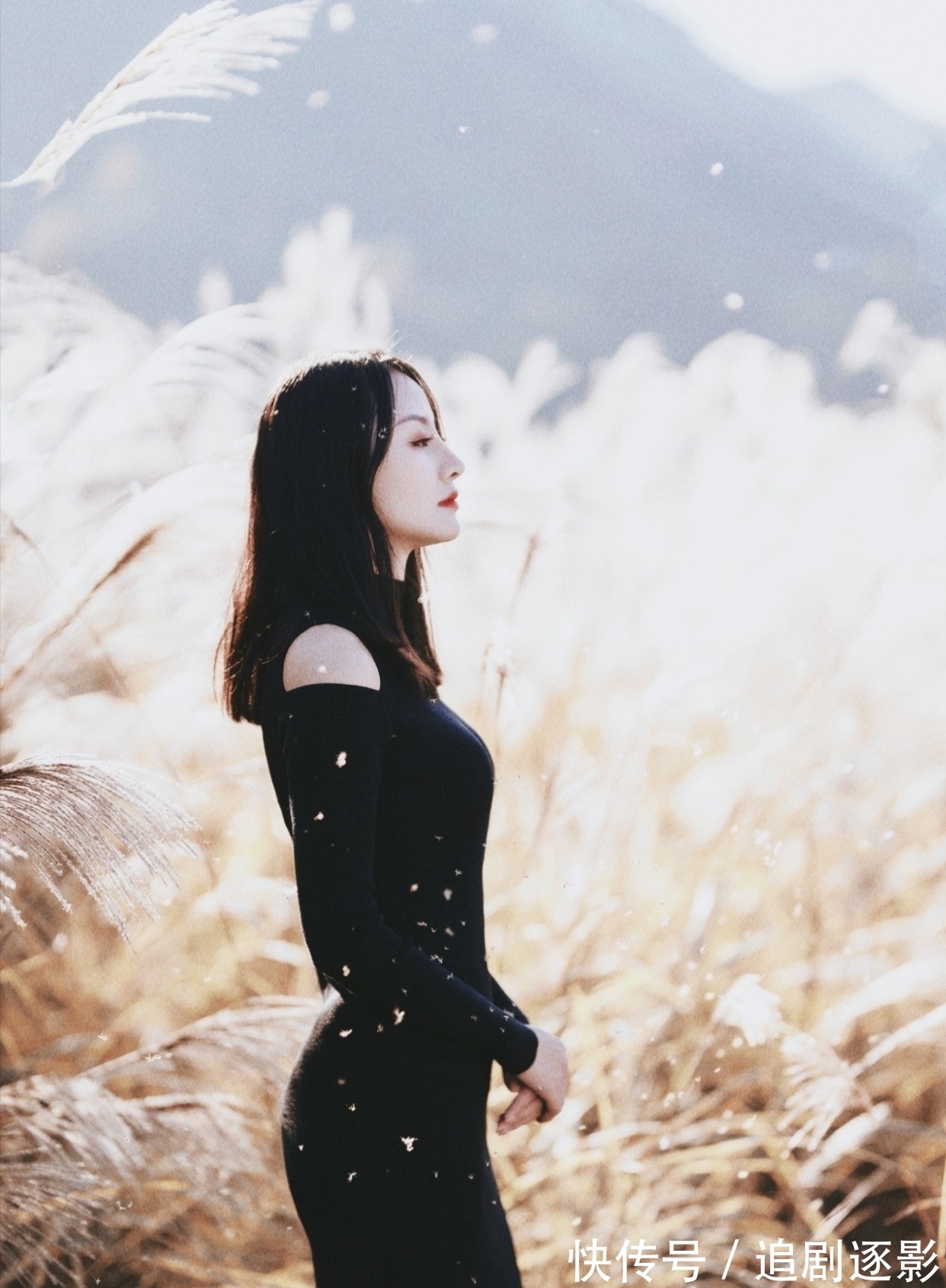 秋风@诗·二十三首丨古韵千年宜咏古，秋风百日勉吟秋