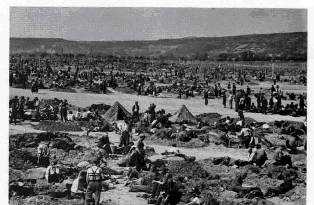 大营|二战后德国战俘的梦魇,莱茵大营,没有知道死亡人数