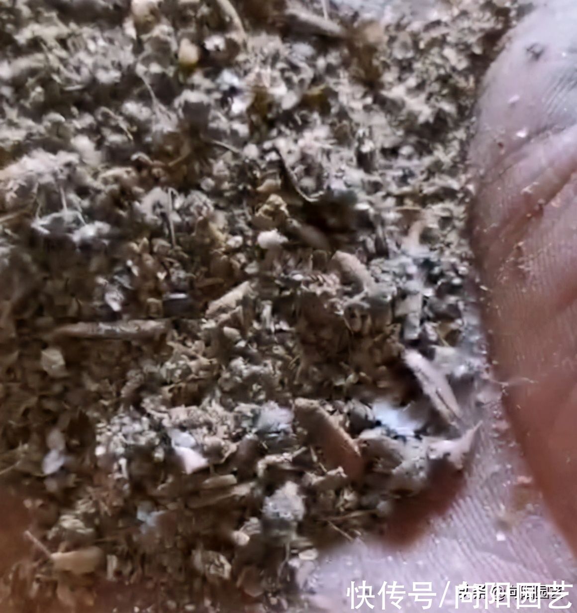 农村最常见的3种肥料，教你学会“堆肥”，立春后就能使用了