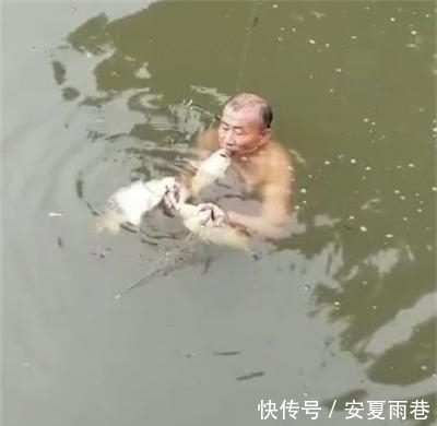 淡定|大爷从河里捞出几条鱼,之后网友不淡定了:太贪心!