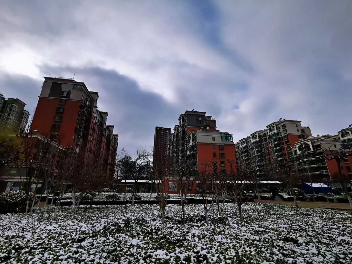 老年|泉城喜降春雪，银装素裹，分外妖娆