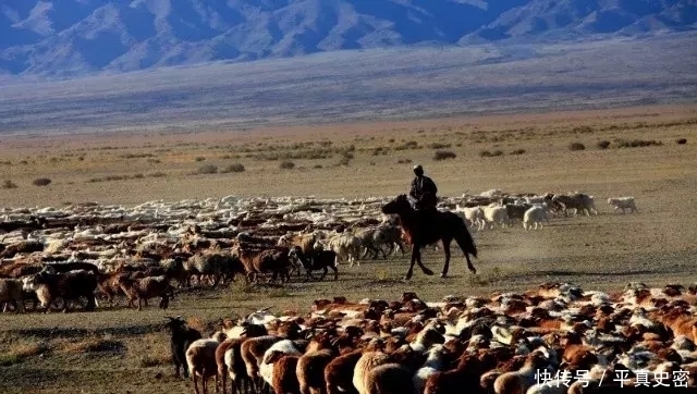 岳飞|他打胜仗仅用一群羊，部下叛变人头竟能“走回来”，死后齐名岳飞