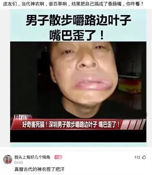 七仙女！“孙悟空定住了七仙女，为何什么都没干呢？”神评太优秀了哈哈哈