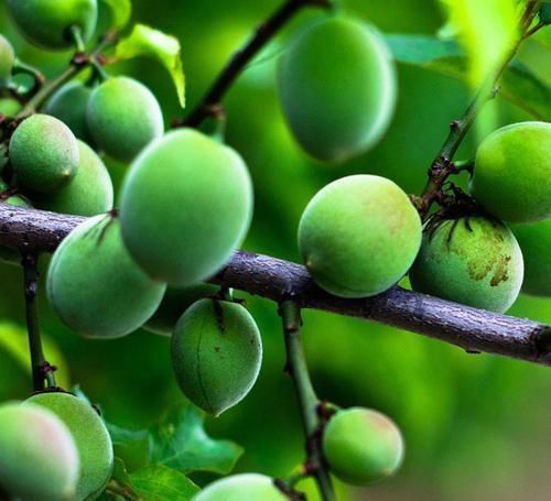 子宫|女性朋友要注意,忌2物,弃3习,吃4物,活血消肌瘤,子宫更健康