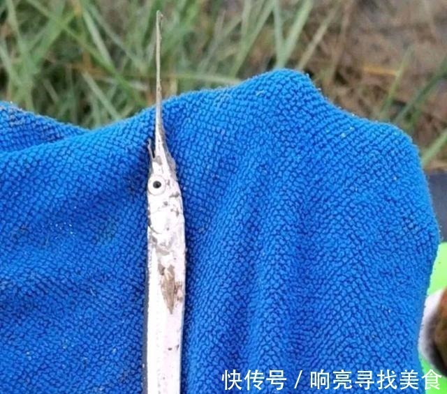 在当地的河流里钓到很多疑似小剑鱼,一钓一大盆钓友疑问能吃吗!