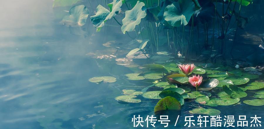 一旺|9月上半月，桃花追着跑，财运一旺再旺，来喜又来财的生肖