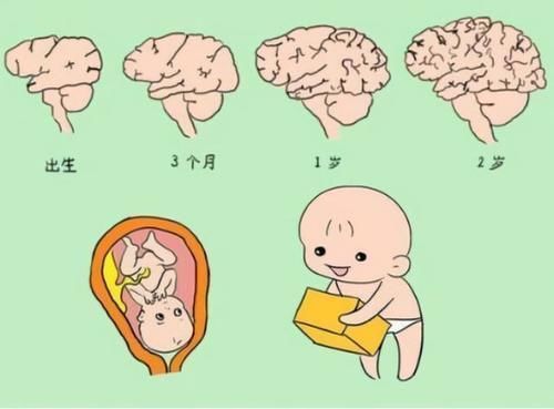 睡眠质量|宝宝出生“头三年”很关键，家长做好这3件事， 孩子会很聪明