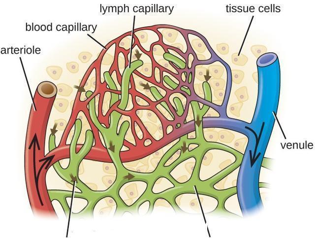 心脏泵|秋季过半，高血压患者需警惕“4种”表现，医生：或是脑出血前兆