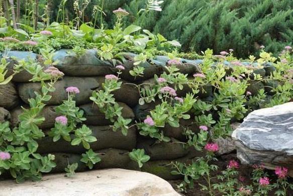 没用的麻袋别再随手丢了,拿它当盆养花,一下子收获3大优势