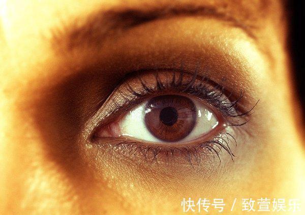 调理|脾胃不好“生百病”,一味中药,调理各种脾胃不适,一起了解下!