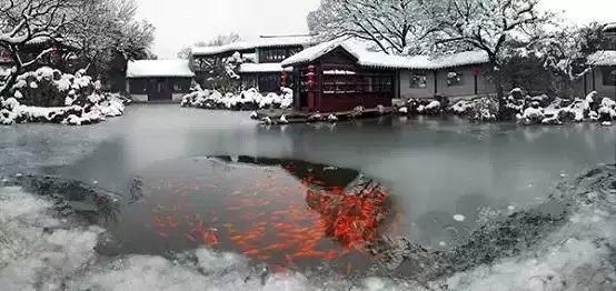 江南|赏江南雪景，品应景美诗