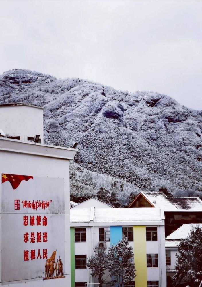 雪景|丽水这些地方下雪了，美炸了~最新雪景美图，请签收