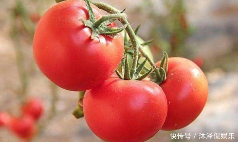 比毒品還毒的幾種菜,被醫(yī)生列入“黑名單”,你還在買嗎
