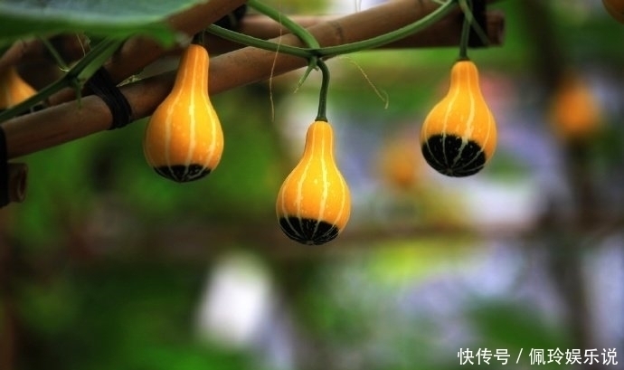 鬼谷子识人术一个人有没有出息,看这三点就够了